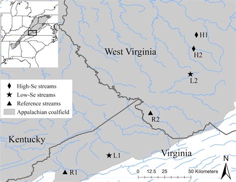 Daily WV Incarcerations Exposed: What Do the Numbers Really Mean? 3