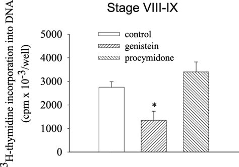 Inhibition of ex vivo DNA synthesis during stages VIII and IX of ...