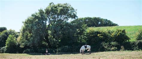 Nude Video Celebs Anamaria Vartolomei Nude The Empire 2024