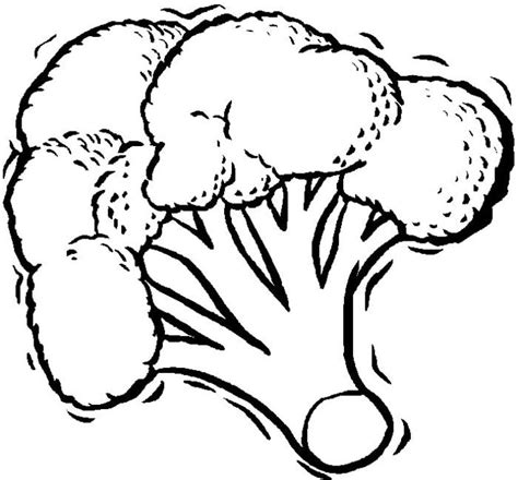 Disegni Da Colorare Broccoli Stampabile Gratuito Per Bambini E Adulti