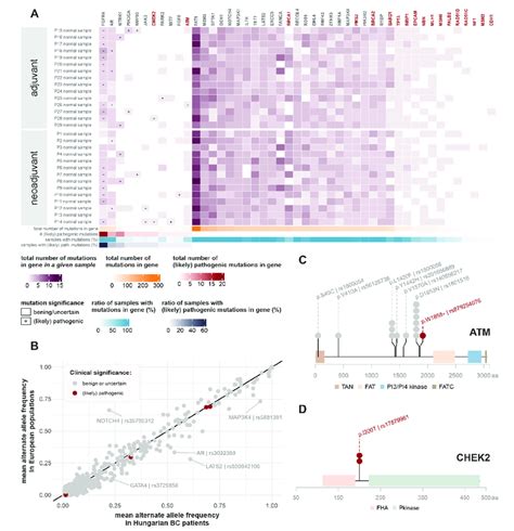 Germline mutations. (A) Germline mutations detected in the most... | Download Scientific Diagram