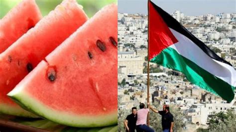 Ternyata Ini Hubungan Semangka Dan Palestina Yang Viral Di Medsos