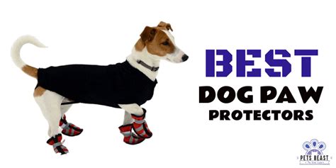 Top 10 Best Dog Paw Protectors Detailed Review - Pets Beast