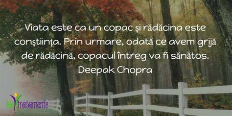 Viata este ca un copac și rădăcina este conștiința Prin urmare odată