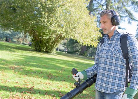 Finding a Quiet Leaf Blower: The Only Guide You Need