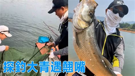 【鄧剛釣魚】野河探釣大青，沒想到米級巨大翹嘴上鉤，魚護直接爆滿！【天元邓刚】 Youtube