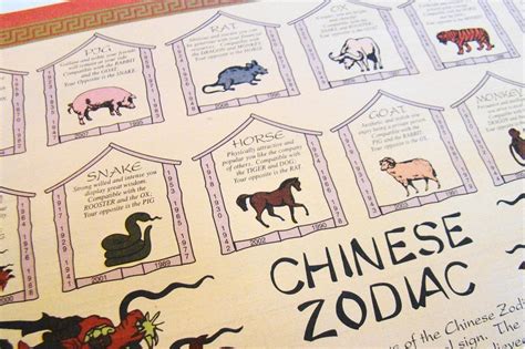 chinese zodiac signs characteristics  predictions chinaplanning