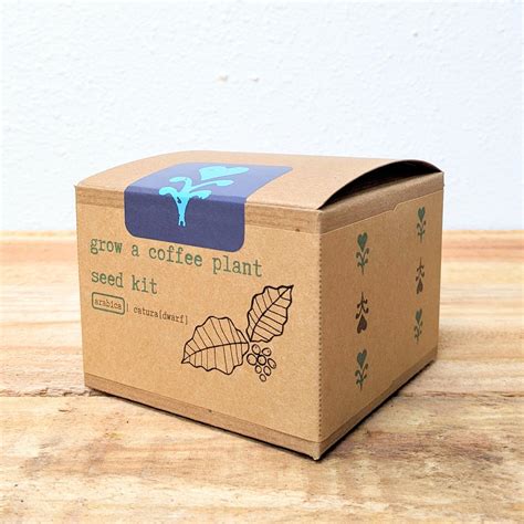 Grow a Coffee Plant Seed Kit – Plantflix