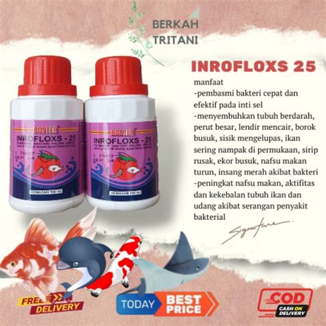 Jual Obat Ikan Boster Inrofloxs 25 100 Ml Antibiotik Pembasmi Bakteri