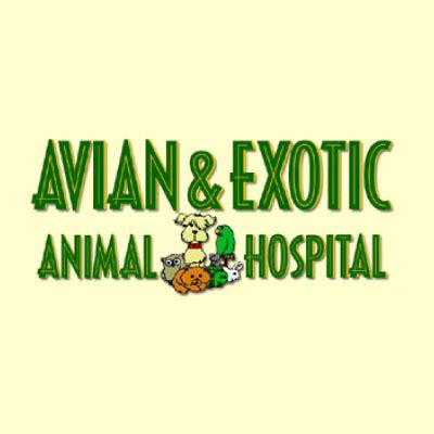 Avian & Exotic Animal Hospital