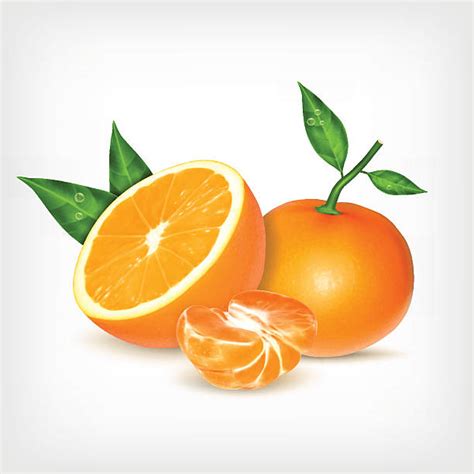 Clipart Tangerine 20 Free Cliparts Download Images On Clipground 2024