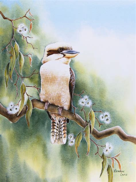 Kookaburra Artist Katherine Castle Watercolour Gouache Wildlife