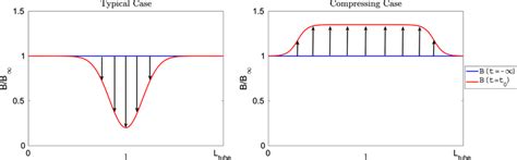 How The Flux Tube Evolves From Its Initial Uniform State In A Typical