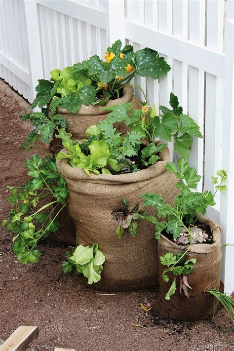 Pflanzen Mit Erde Im Sack Am Gartenzaun Bild Kaufen 11071529