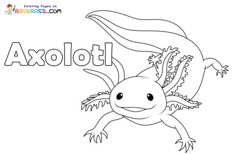 Desenhos De Axolote Para Colorir