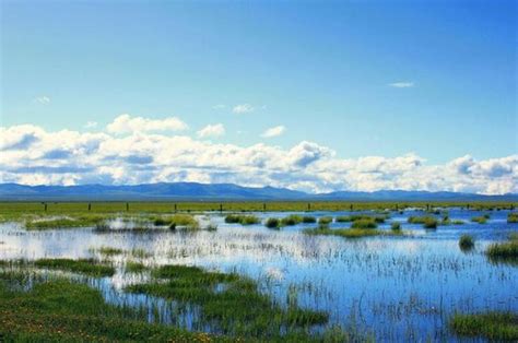 中国最美的6大沼泽湿地：三江平原湿地，扎龙湿地，美景之地