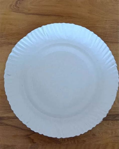 10 Inch ITC Paper Plate At Rs 1 20 Piece Paper Plate In Manjeshwaram