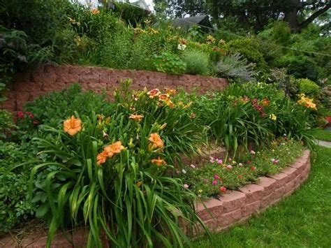 Daylilies in the Landscape: A Photo Tour - Garden.org