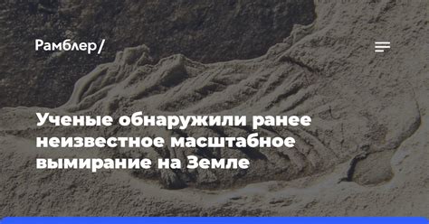 Ученые обнаружили ранее неизвестное масштабное вымирание на Земле Рамблер новости