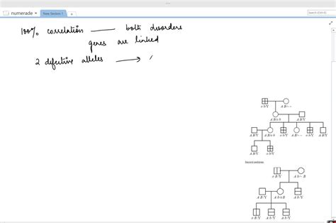 In The Two Pedigrees Diagrammed Here A Vertical Bar In A Symbol Stands