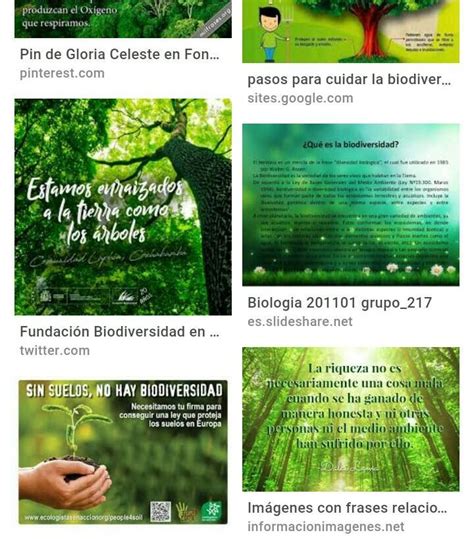 PROPONEMOS ACCIONES PARA CONSERVAR NUESTRA BIODIVERSIDAD DATO Las