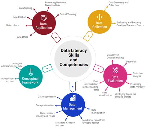 Mastering Data Literacy In 2024 The Key To Thriving In A