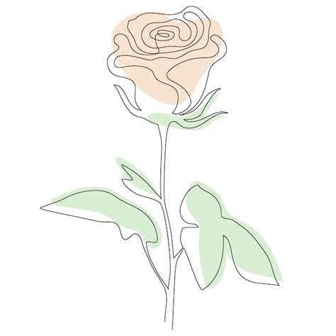 Rose line art desenho de linha contínua abstrato mínimo flor bonita