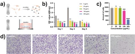 Cytotoxicity And Biocompatibility Assessment A Schematic