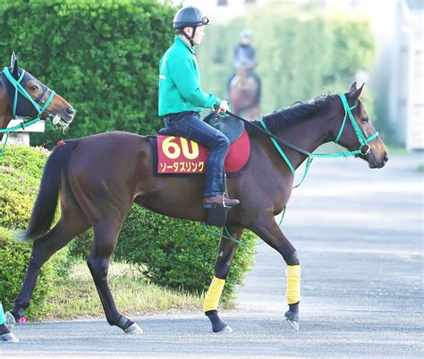 【bet365】第84回優駿牝馬（オークス）：牝馬クラシック第2弾！樫の女王に君臨するのは？ ブックメーカー情報局