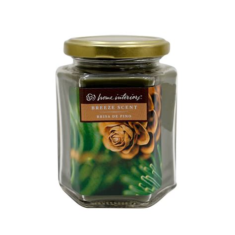 11724 Glass Jar Candle Pine Breeze Scent Home Interiors