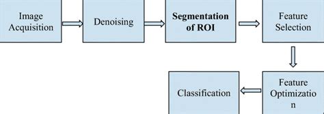 A Typical Flowchart Of Computer Aided Diagnosis Cad System Download Scientific Diagram