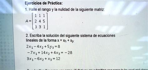 Solved Ejercicios De Practica Halle El Rango Y La Nulidad De La