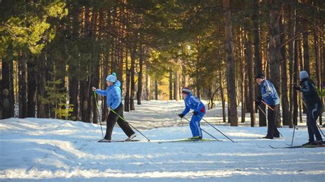 Winter Activities You Must Try Beyond Skiing... - MoaAlm Mountain Holidays