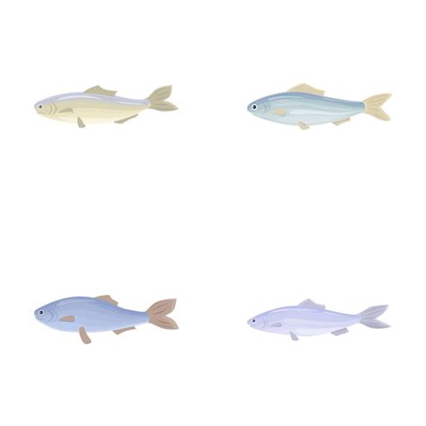 Iconos De Pescado De Bacalao En Conjunto Vector De Dibujos Animados