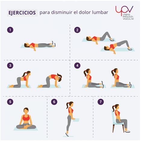 5 Ejercicios Para Aliviar El Dolor Y La Rigidez Lumbar NBKomputer