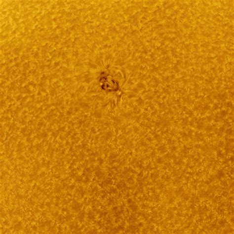 Sunspot Group 2827 May 30 2021 Kevin Gill Flickr