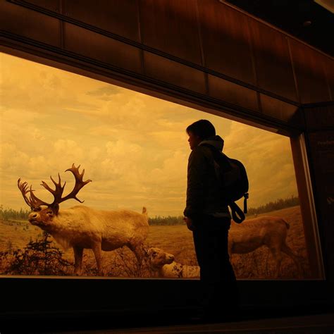 Actually Cool Things You Can Do in the Twin Cities This Fall | Natural