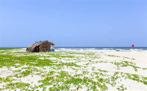 Cavelossim Beach, South Goa (Witness the Serene Beauty)