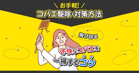 マダニ駆除には殺虫剤がおすすめ！被害を防ぐために事前にできる対策 害虫駆除110番