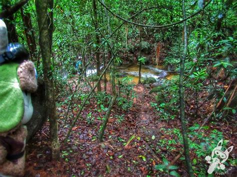 Parque Nacional da Serra dos Órgãos Guapimirim e Teresópolis