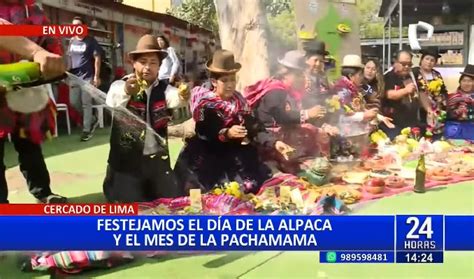 Comerciantes celebran el Día de la Alpaca y el