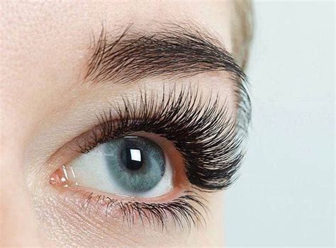 Advanced Course Lower Eyelash Extensions European Beauty Academy