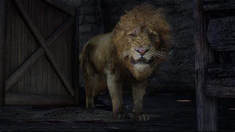 Lion Rdr2 Animals Map Location And Where To Find