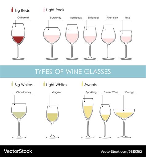 Types Wine Glasses Royalty Free Vector Image Vectorstock