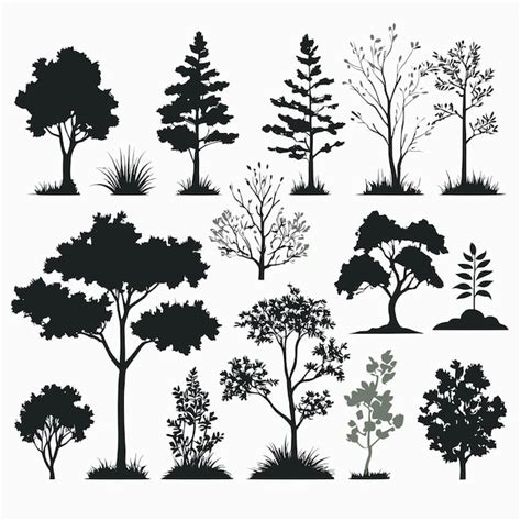 Ilustración De Vector De Colección De Silueta De árbol Vector Premium