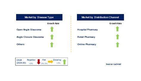 Glaucoma Market Report Trends Forecast And Competitive Analysis To 2030