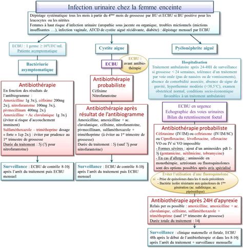 Comment Traiter Une Infection Urinaire Chez La Femme La Réponse Est