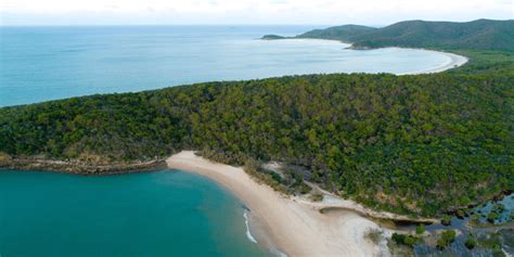 De Beste Tours In Monkey Beach Great Keppel Island Van 2024 Gratis