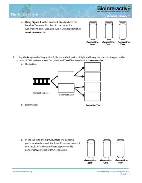 Meselson Stahl Experiment - CorrineManal