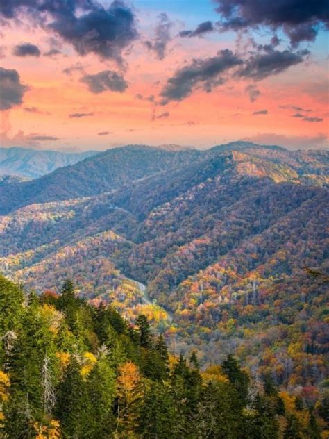 Fall Colors Smoky Mountains 2023